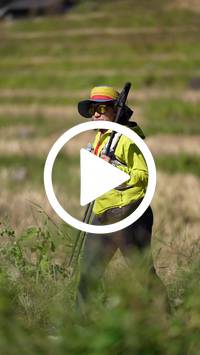 BIB:  <button type="button" onclick="openModal(26787466)" class="btn btn-primary btn-sm float-right" data-toggle="modal" data-target=".modal-high-quality">
                <i class="fa fa-download"></i> Download
                </button>